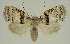  ( - BC EF Alc 01396)  @14 [ ] Copyright (2010) Unspecified Research Collection of Egbert Friedrich