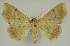  ( - BC EF Alc 01397)  @13 [ ] Copyright (2010) Unspecified Research Collection of Egbert Friedrich