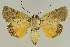  ( - BC EF Alc 01398)  @13 [ ] Copyright (2010) Unspecified Research Collection of Egbert Friedrich