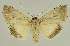  ( - BC EF Alc 01400)  @13 [ ] Copyright (2010) Unspecified Research Collection of Egbert Friedrich