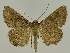  ( - BC EF Alc 01402)  @14 [ ] Copyright (2010) Unspecified Research Collection of Egbert Friedrich