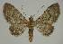  ( - BC EF Alc 01413)  @14 [ ] Copyright (2010) Unspecified Research Collection of Egbert Friedrich