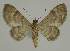  ( - BC EF Alc 01413)  @13 [ ] Copyright (2010) Unspecified Research Collection of Egbert Friedrich