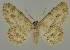  ( - BC EF Alc 01417)  @14 [ ] Copyright (2010) Unspecified Research Collection of Egbert Friedrich