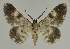  ( - BC EF Alc 01418)  @13 [ ] Copyright (2010) Unspecified Research Collection of Egbert Friedrich