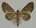  ( - BC EF Alc 01419)  @13 [ ] Copyright (2010) Unspecified Research Collection of Egbert Friedrich