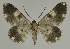  ( - BC EF Alc 01420)  @13 [ ] Copyright (2010) Unspecified Research Collection of Egbert Friedrich