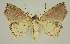  ( - BC EF Alc 01423)  @13 [ ] Copyright (2010) Unspecified Research Collection of Egbert Friedrich