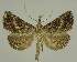  ( - BC EF Alc 01428)  @14 [ ] Copyright (2010) Unspecified Research Collection of Egbert Friedrich