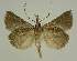  ( - BC EF Alc 01428)  @13 [ ] Copyright (2010) Unspecified Research Collection of Egbert Friedrich