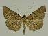  ( - BC EF Alc 01435)  @14 [ ] Copyright (2010) Unspecified Research Collection of Egbert Friedrich