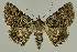  ( - BC EF Alc 01437)  @13 [ ] Copyright (2010) Unspecified Research Collection of Egbert Friedrich