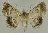  ( - BC EF Alc 01437)  @13 [ ] Copyright (2010) Unspecified Research Collection of Egbert Friedrich