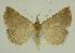  ( - BC EF Alc 01442)  @13 [ ] Copyright (2010) Unspecified Research Collection of Egbert Friedrich