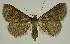  ( - BC EF Alc 01445)  @14 [ ] Copyright (2010) Unspecified Research Collection of Egbert Friedrich