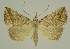  (Britha - BC EF Alc 01446)  @14 [ ] Copyright (2010) Unspecified Research Collection of Egbert Friedrich
