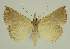 ( - BC EF Alc 01446)  @13 [ ] Copyright (2010) Unspecified Research Collection of Egbert Friedrich