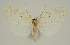 ( - BC EF Alc 01449)  @13 [ ] Copyright (2010) Unspecified Research Collection of Egbert Friedrich