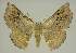  ( - BC EF Alc 01458)  @14 [ ] Copyright (2010) Unspecified Research Collection of Egbert Friedrich