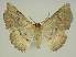  ( - BC EF Alc 01458)  @13 [ ] Copyright (2010) Unspecified Research Collection of Egbert Friedrich
