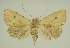  ( - BC EF Alc 01459)  @14 [ ] Copyright (2010) Unspecified Research Collection of Egbert Friedrich
