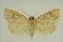  ( - BC EF Alc 01459)  @13 [ ] Copyright (2010) Unspecified Research Collection of Egbert Friedrich