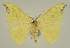  ( - BC EF Alc 01463)  @13 [ ] Copyright (2010) Unspecified Research Collection of Egbert Friedrich
