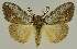  ( - BC EF Alc 01466)  @14 [ ] Copyright (2010) Unspecified Research Collection of Egbert Friedrich