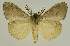  ( - BC EF Alc 01466)  @13 [ ] Copyright (2010) Unspecified Research Collection of Egbert Friedrich