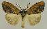  ( - BC EF Alc 01467)  @14 [ ] Copyright (2010) Unspecified Research Collection of Egbert Friedrich
