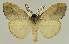  ( - BC EF Alc 01467)  @13 [ ] Copyright (2010) Unspecified Research Collection of Egbert Friedrich