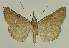  ( - BC EF Alc 01474)  @13 [ ] Copyright (2010) Unspecified Research Collection of Egbert Friedrich