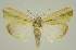  ( - BC EF Alc 01475)  @13 [ ] Copyright (2010) Unspecified Research Collection of Egbert Friedrich