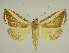  ( - BC EF Alc 01476)  @11 [ ] Copyright (2010) Unspecified Research Collection of Egbert Friedrich