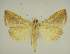  ( - BC EF Alc 01476)  @11 [ ] Copyright (2010) Unspecified Research Collection of Egbert Friedrich