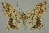  ( - BC EF Alc 01481)  @13 [ ] Copyright (2010) Unspecified Research Collection of Egbert Friedrich