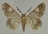  ( - BC EF Alc 01483)  @13 [ ] Copyright (2010) Unspecified Research Collection of Egbert Friedrich