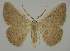  ( - BC EF Alc 01497)  @13 [ ] Copyright (2010) Unspecified Research Collection of Egbert Friedrich