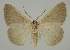  ( - BC EF Alc 01497)  @13 [ ] Copyright (2010) Unspecified Research Collection of Egbert Friedrich