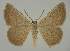  ( - BC EF Alc 01505)  @13 [ ] Copyright (2010) Unspecified Research Collection of Egbert Friedrich