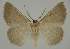  ( - BC EF Alc 01505)  @13 [ ] Copyright (2010) Unspecified Research Collection of Egbert Friedrich