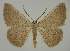  ( - BC EF Alc 01512)  @13 [ ] Copyright (2010) Unspecified Research Collection of Egbert Friedrich