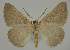  ( - BC EF Alc 01512)  @13 [ ] Copyright (2010) Unspecified Research Collection of Egbert Friedrich