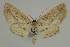  ( - BC EF Alc 01518)  @13 [ ] Copyright (2010) Unspecified Research Collection of Egbert Friedrich