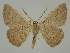  ( - BC EF Alc 01519)  @13 [ ] Copyright (2010) Unspecified Research Collection of Egbert Friedrich