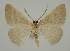  ( - BC EF Alc 01519)  @13 [ ] Copyright (2010) Unspecified Research Collection of Egbert Friedrich
