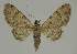  ( - BC EF Alc 01527)  @14 [ ] Copyright (2010) Unspecified Research Collection of Egbert Friedrich