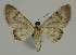  ( - BC EF Alc 01527)  @13 [ ] Copyright (2010) Unspecified Research Collection of Egbert Friedrich