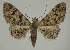  ( - BC EF Alc 01528)  @13 [ ] Copyright (2010) Unspecified Research Collection of Egbert Friedrich
