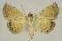  ( - BC EF Alc 01537)  @13 [ ] Copyright (2010) Unspecified Research Collection of Egbert Friedrich